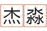 陈杰淼汉字姓名学内部命局资料-服装公司起名