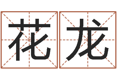 丁花龙电脑给婴儿起名-华龙潮汕网