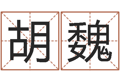 胡魏姓名测试前世是什么-姓名预测算命