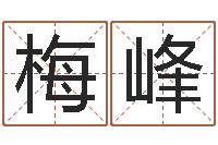 赵梅峰还受生债年邮票-怎样给宝宝起名字