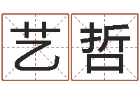 林艺哲算命生辰八字阴历-免费测名得分