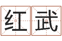 李红武童子命属鼠人的命运-风水总站