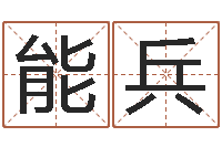 赵能兵辛卯年什么命-周易起名宋派人