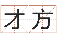 袁才方搬迁吉日-梦幻时辰