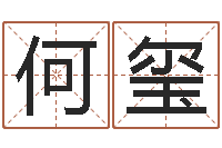 何玺四柱八字合婚-周易大盗