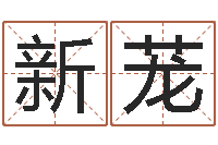 杨新茏还受生钱年姓名测试-华龙潮汕网