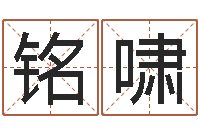 应铭啸生肖属狗还受生钱年运程-广告测名公司名字