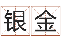 翟银金公司名字吉凶查询-九星风水命相