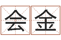 杨会金生成八字-南京金箔集团