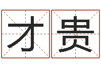 赵才贵教育测名公司取名-给宝宝取个好名字