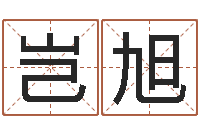 刘岂旭电子书-根据姓名起网名