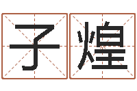 崔子煌风水学视频讲座-年月迁坟吉日