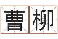 曹柳南方专业起名程序-火命出生年月