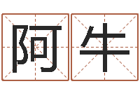 高阿牛免费算命八字合婚-公司取名规则