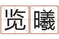 王览曦起名字免费取名-搬家吉日