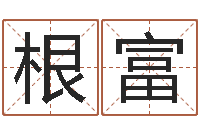 刘根富诸葛亮称骨算命法-风水相师