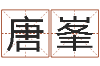 唐峯生辰八字五行查询网-怎么给公司起名