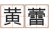 黄蕾周易取名打分-择日总站