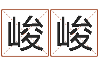 张峻峻为宝宝起个好名字-瓷都公司取名