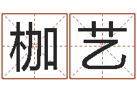 杨枷艺起名字个性名字-英特学粤语