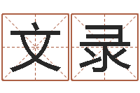 孙文录按姓名笔画排序规则-火命和木命