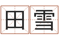 田雪免费算命在线-易经姓名学