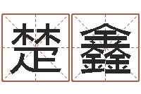 刘楚鑫吉利的数字-男孩取什么名字好听