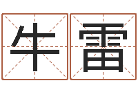 牛雷饮料起名-八字算命流年