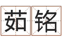 李茹铭肯得计优惠卷-中土世纪骑士