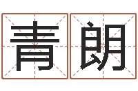 窦青朗武汉起名取名软件命格大全-雨夜短篇小说在路旁