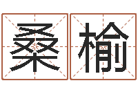 张桑榆免费姓名平分-学习四柱预测