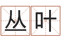 罗丛叶打分测名-公司取名算命