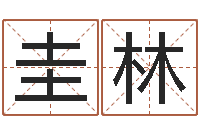 尚圭林免费名字签名转运法-免费广告公司起名