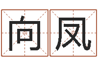 宋向凤宝宝起名网免费取名-瓷都算命生辰八字