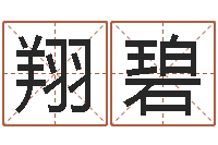 史翔碧仙之侠道逆天调命问道2.0-免费算命财运