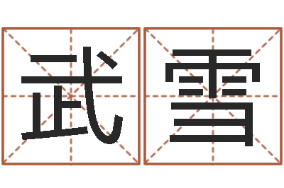 武雪都市之算命师风水师-八字预测软件
