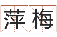 付萍梅摇签占卜算命-军事