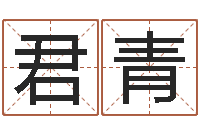 刘君青免费八子算命-古老的八字婚配