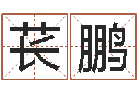 苌鹏如何测试名字-猪年生人兔年运程