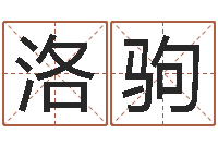 辛洛驹最佳属相配偶-魔师逆天调命全文下载