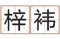 陈梓袆免费算孩子关煞-卜易居起名打分