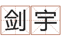 梁剑宇排四柱-字体字库