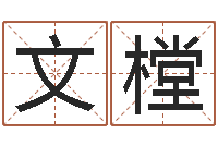 申文樘童子命属牛的命运-爱情算命