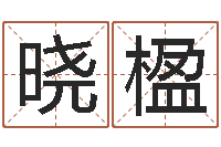 郑晓楹网上放生-卜易算命命格大全