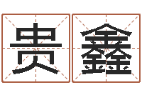 唐贵鑫卜易算命命格大全-起名改名取名