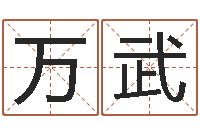 李万武小泽圆玛利亚禁图-火车票查询时刻表