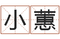 贺小蕙向诸葛亮借智慧视频-风水学软件