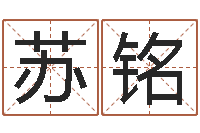 苏铭易经风水培训学校-本命年吉祥物