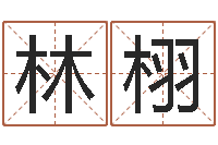 林栩风水网-元亨排盘