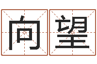 向望属兔的人怎么样-周易入门算命书籍